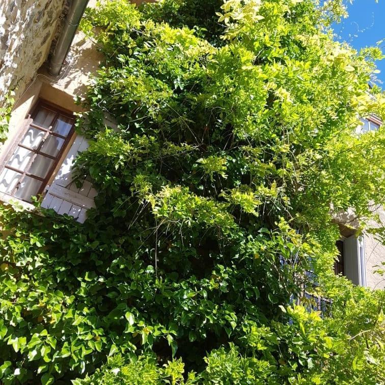 Le Balcon Leilighet Camps-sur-l'Agly Eksteriør bilde